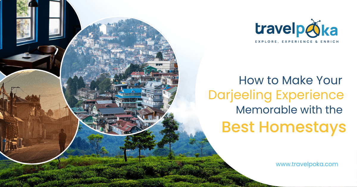 best homestays in darjeeling in budget
