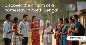 Experience North Bengal Like Never Before | Mountains, Serenity, and Soulful Stays