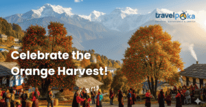 Darjeeling Orange Festival 2025: All You Need to Know