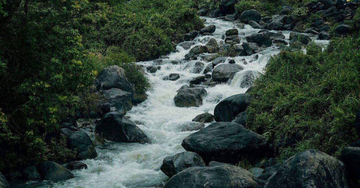 Offbeat Homestays in Sittong