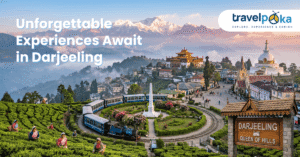 Local women plucking tea leaves in a Darjeeling tea estate with the Himalayan Railway and a Buddhist monastery in the distance.