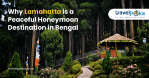 best time to visit lamahatta clear sky kanchenjunga view