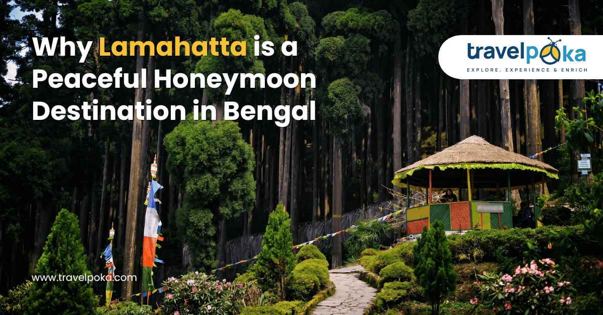 best time to visit lamahatta clear sky kanchenjunga view