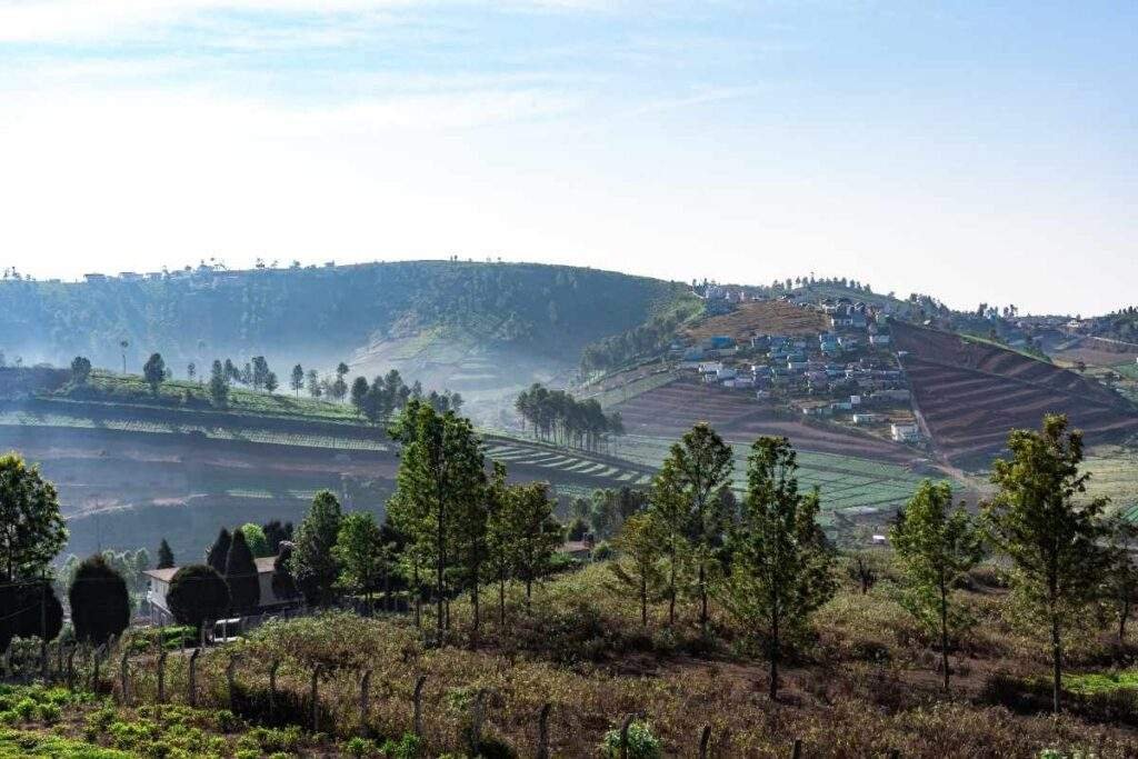 Parents and children exploring Ooty's tea gardens and Nilgiri Hills on a memorable family holiday.
