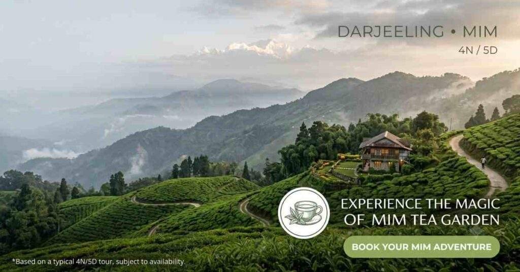 offbeat darjeeling packages durga puja