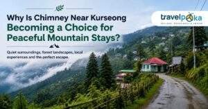 Misty mountain village near Kurseong with a winding road, forested hills, hillside homes, and peaceful scenery ideal for a relaxing stay.