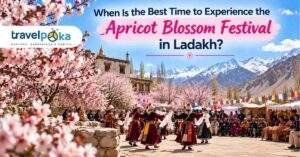 Apricot Blossom Festival in Ladakh featuring traditional cultural dances, blooming apricot trees, colorful prayer flags, and snow-capped Himalayan mountains.