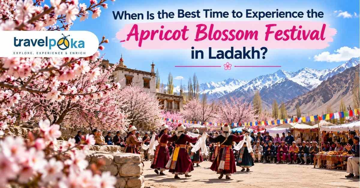 Apricot Blossom Festival in Ladakh featuring traditional cultural dances, blooming apricot trees, colorful prayer flags, and snow-capped Himalayan mountains.