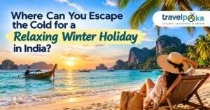 Relaxing winter holiday in India featuring a tropical beach, turquoise sea, palm trees, and a beautiful sunset.